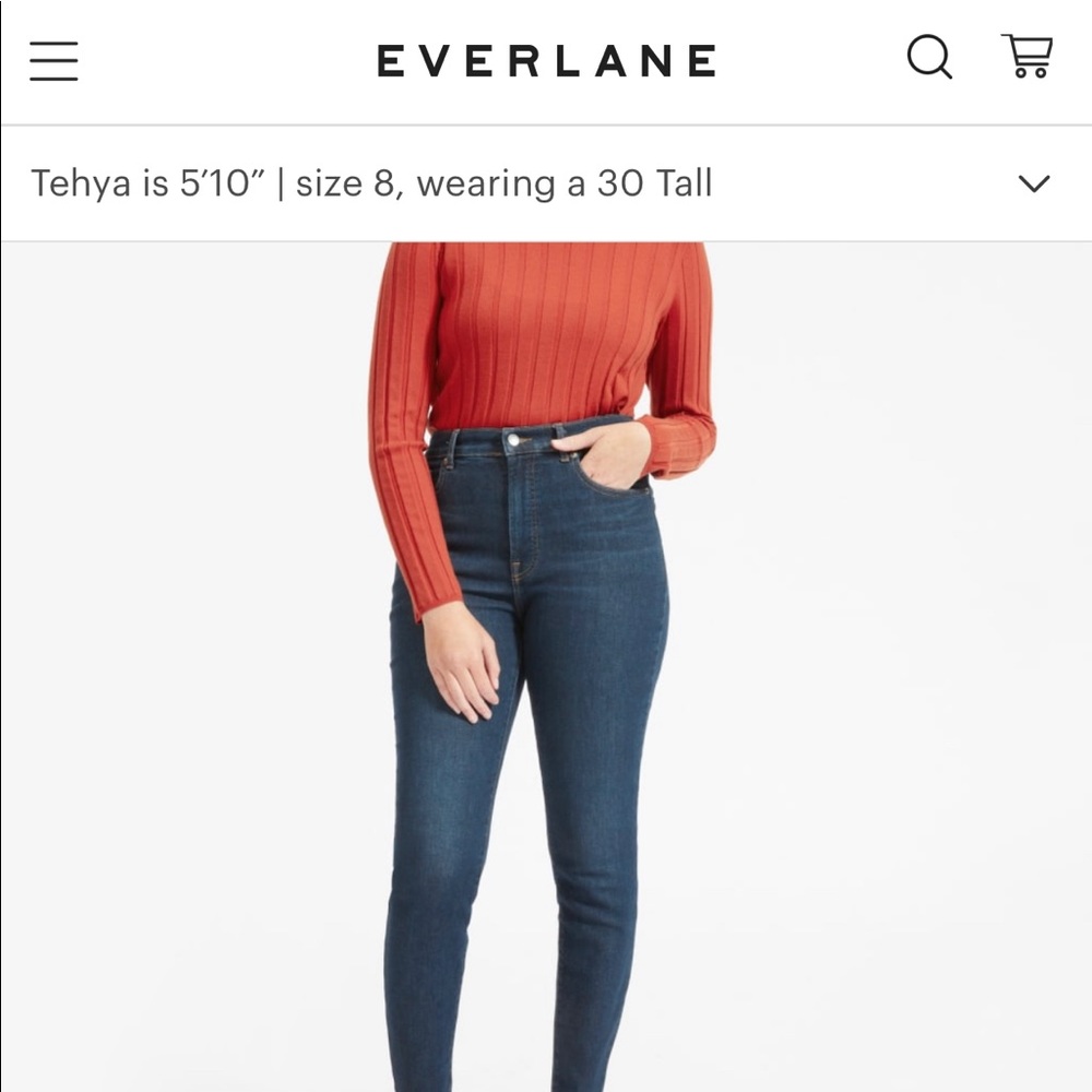 Everlane Dark Wash The High Rise Skinny Jean